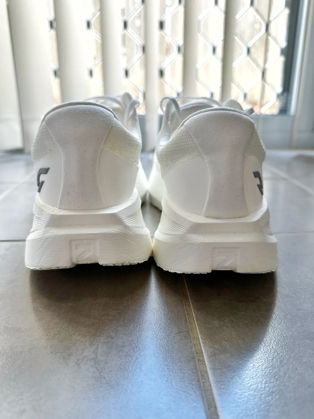 Dynafish Xiaonian EU42/US9M Best Daily Trainer (Adizero Evo SL killer)